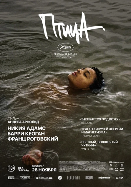 Птица, SUB