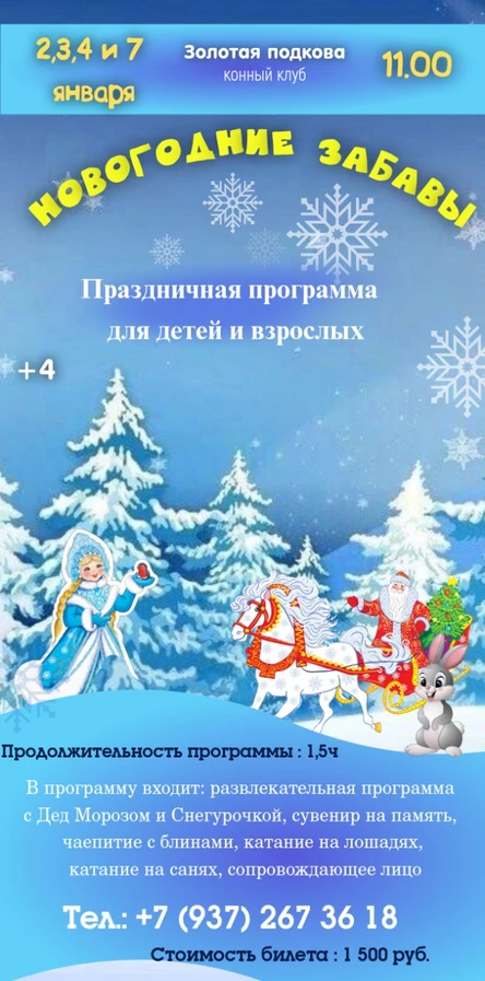 Новогодние забавы