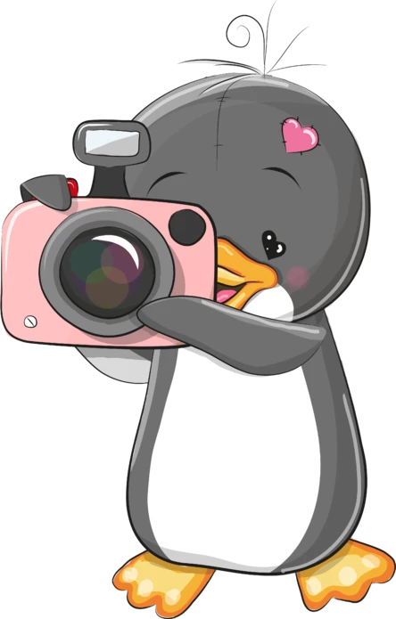 ФОТООТЧЕТ