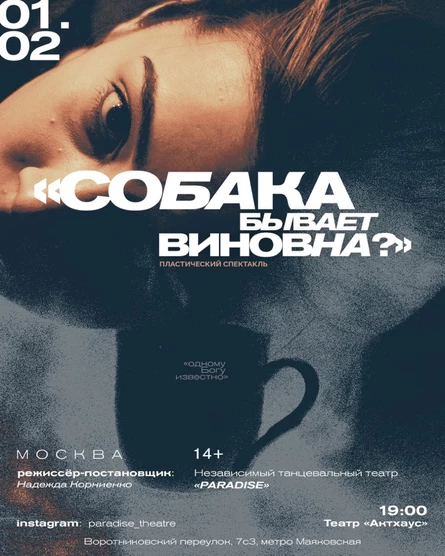 Спектакль современного танца «Собака бывает виновна?» танцевального театра «PARADISE»