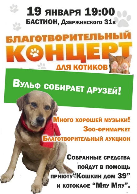 "Вульф Собирает друзей!" Благотворительный концерт для котиков. 19 февраля. Бастион