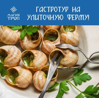 Экскурсия на улиточную ферму 22.02.2025 с 12:00 до 14:00