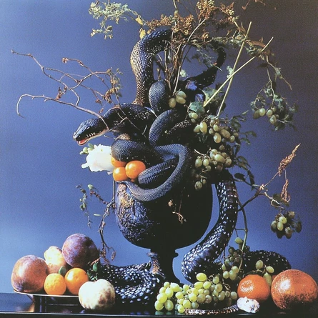 Noir Bazaar x Dichka