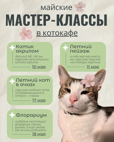МУЛЬТЯШНЫЙ КОТИК: ПУШИСТОЕ ЧУДО АКРИЛОМ