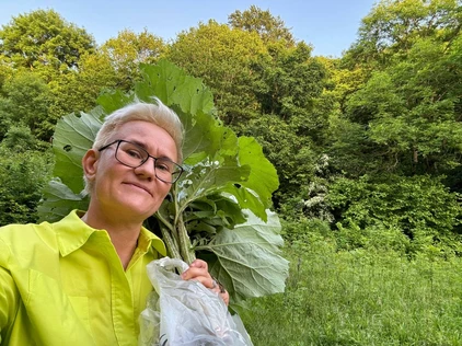 МАТЕРИАЛЫ ОНЛАЙН КУРСА «НОВЫЕ ПОЛЕЗНЫЕ ПРИВЫЧКИ - КАЖДЫЙ ДЕНЬ!!!»