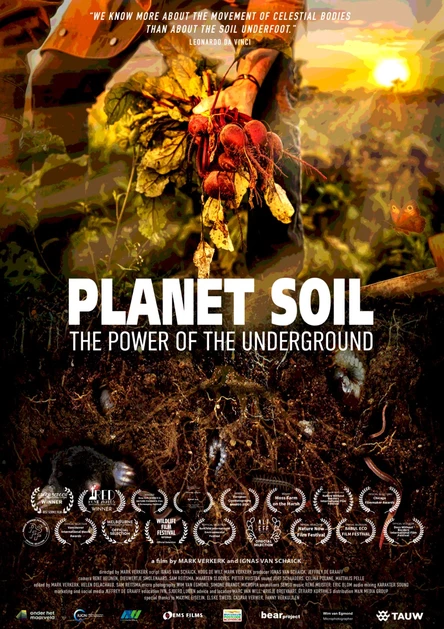 Зеленое на сером, SUB