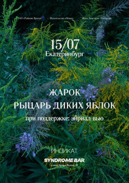 Жарок, Рыцарь Диких Яблок, эйриал вью @ Syndrome Bar