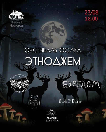 Фестиваль фолка ЭТНОДЖЕМ, Нижний Новгород. Бурелом, Cicadi Tales и др