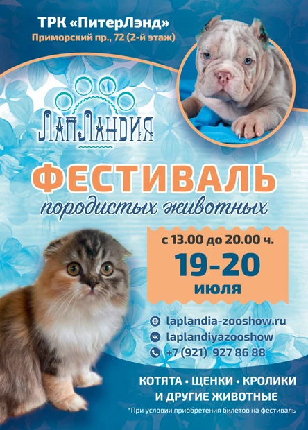 Фестиваль породистых домашних животных "ЛапЛандия"
