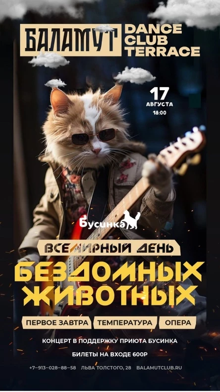 День бездомных животных