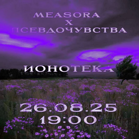 псевдочувства x measora