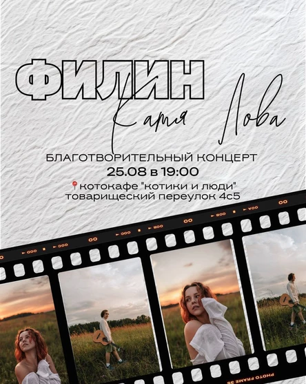Душевные концерты в котокафе. Катя Лова и Филин
