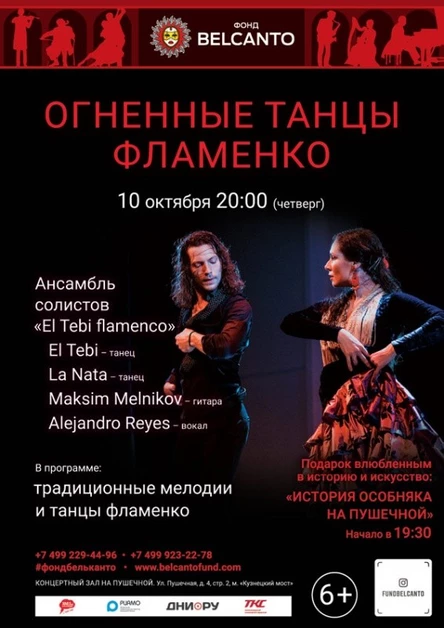 «Огненные танцы Фламенко»