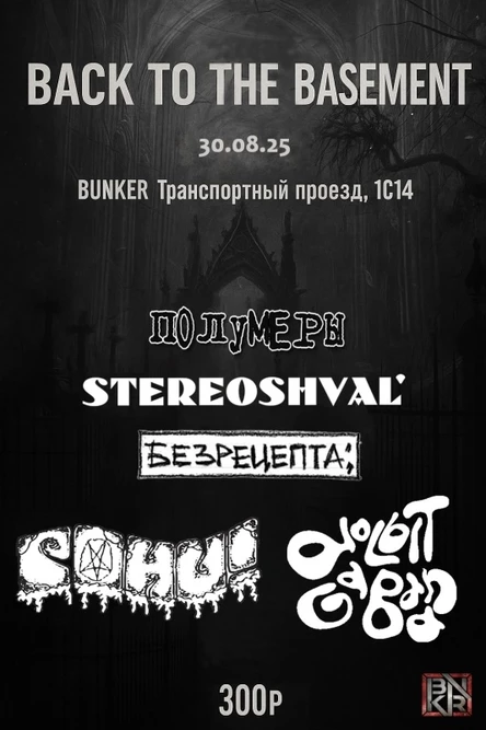 BACK TO THE BASEMENT GIG