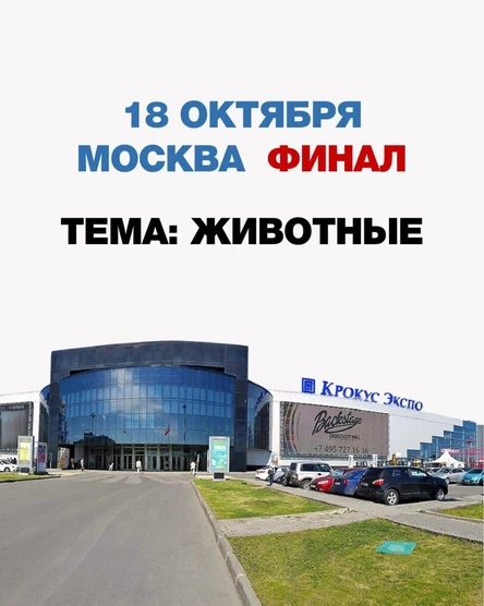 Финал чемпионата России 2025