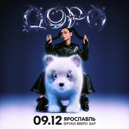 Дора в Ярославле 9 декабря