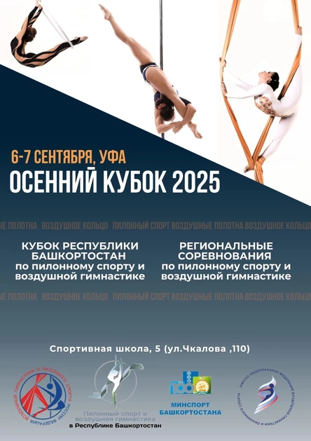 Кубок РБ по воздушной гимнастике и пилонному спорту