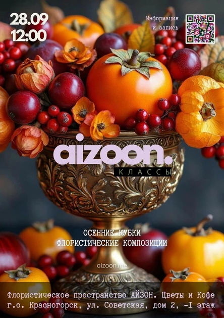 AIZOON. Классы – Осенние Кубки