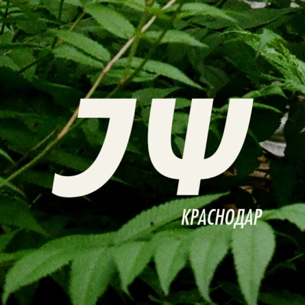 Электрофорез | Большой концерт в Краснодаре