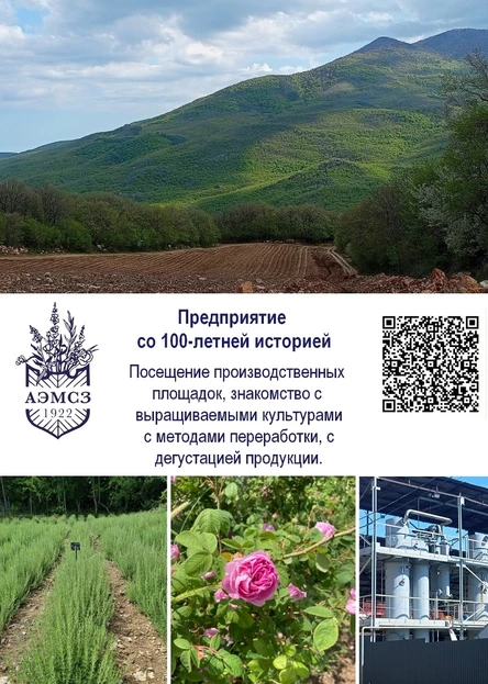 2. Посещение полей и производства Алуштинского эфиромасличного завода (п.Розовый) с дегустацией продукции