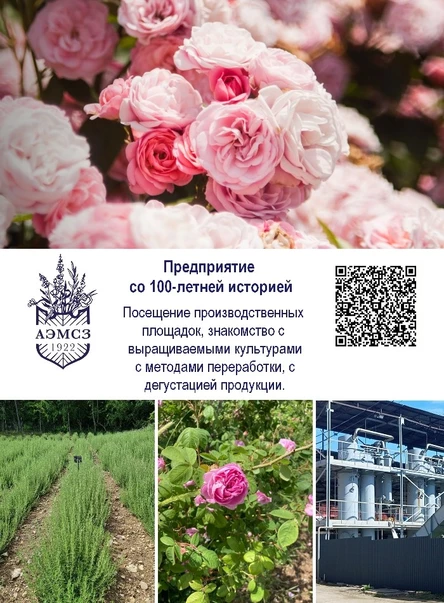 3. Посещение полей и производства Алуштинского эфиромасличного завода с дегустацией продукции