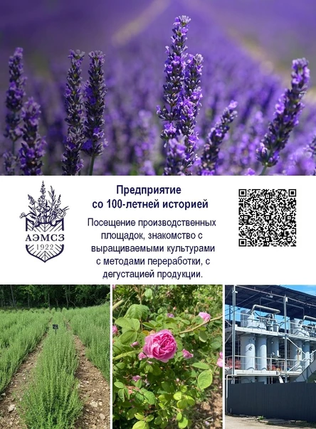 4. Индивидуальное посещение полей и производства Алуштинского эфиромасличного завода с дегустацией продукции