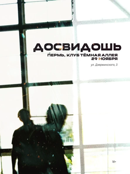 Досвидошь в Перми • 29 ноября
