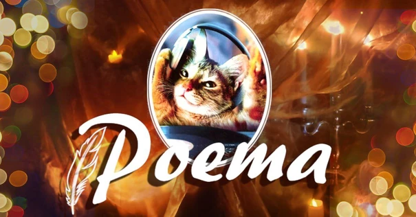 Poema! Dj Екатерина Некошка
