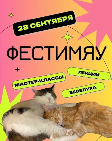 ФестиМяу