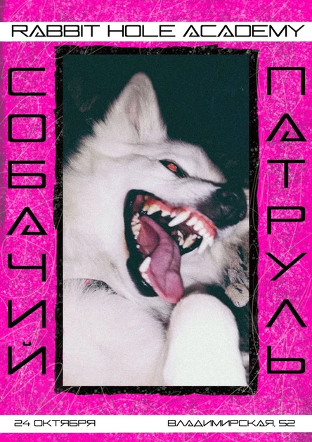 Собачий Патруль в Rabbit Hole Academy