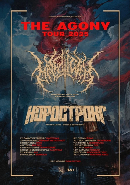 10.11 • MALEDICTED x НОРДСТРОНГ + Support | Syndrome