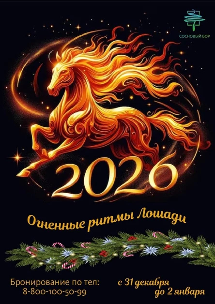 Новый год в санатории