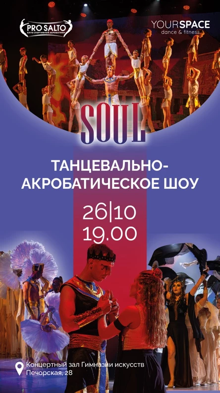 Танцевально-акробатическое шоу «Soul»