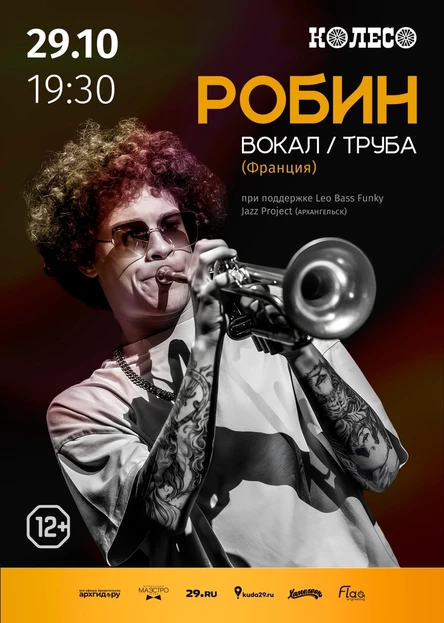 Робин