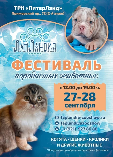 Фестиваль породистых домашних животных "ЛапЛандия"