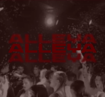 alleya party from HTI
