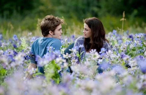 к/ф "Сумерки. Сага. Затмение"