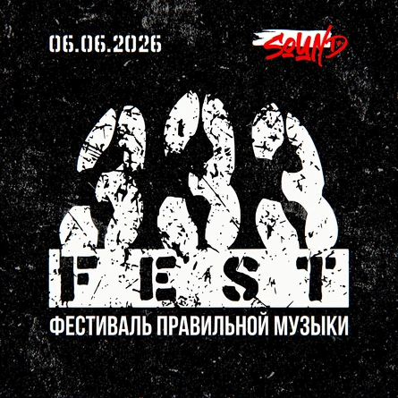 FEST 333
