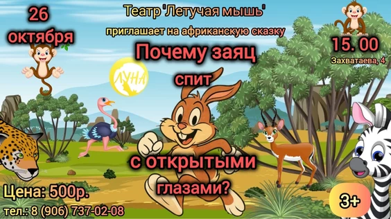 Почему заяц спит с открытыми глазами?