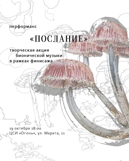 Перформанс «послание» — творческая акция бионической музыки