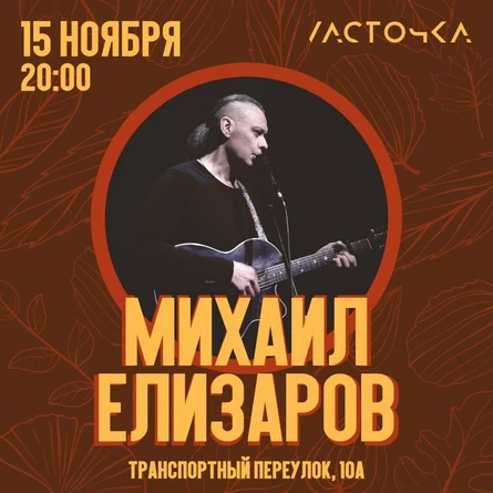 Михаил Елизаров