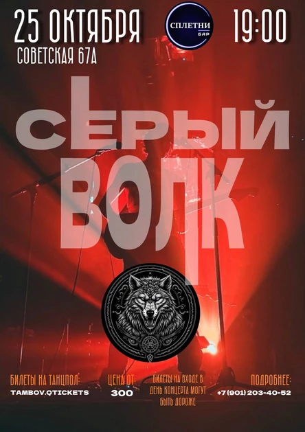 Серый волк в баре Сплетни