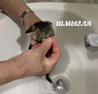 мастер классы