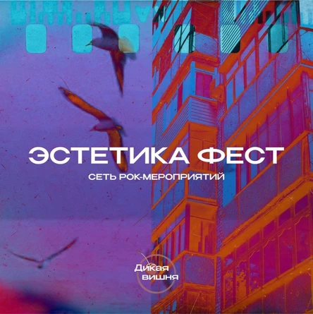 Эстетика фест | Ионотека | 06.11.25