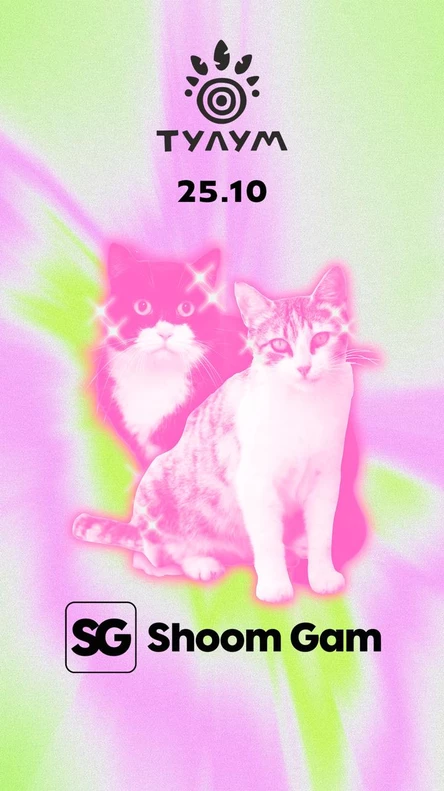 Shoom Gam коты