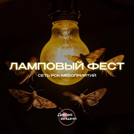 Ламповый фест | Ионотека | 13.11.25