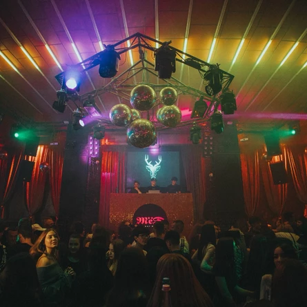 ДАЙВИНЧИК ПАТИ | 23.11 | МЁД