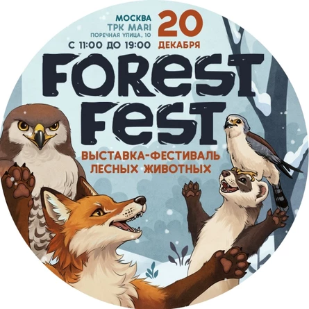 FOREST FEST