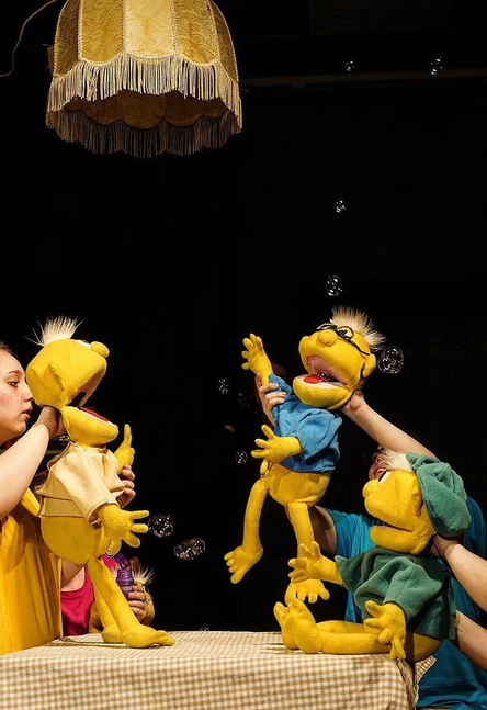 ЗОКИ и БАДА