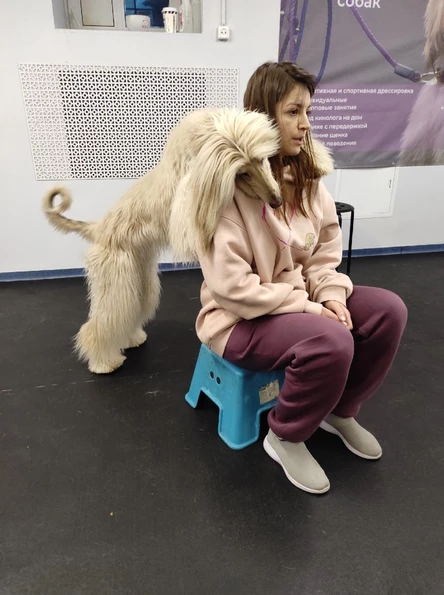 Экскурсия к кинологам м. Черная речка 5-12 лет